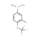 3-Methyl-4-trifluoromethoxyphenylboronic acid (CAS 871362-79-7) - chemical structure image
