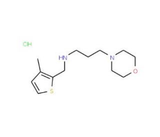 (3-Methyl-thiophen-2-ylmethyl)-(3-morpholin-4-yl-propyl)-amine hydrochloride - chemical structure image
