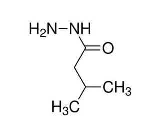 3-methylbutanohydrazide (CAS 24310-18-7) - chemical structure image