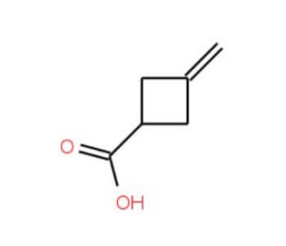 3-Methylenecyclobutanecarboxylic acid (CAS 15760-36-8) - chemical structure image