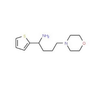 (3-Morpholin-4-yl-propyl)-thiophen-2-ylmethyl-amine - chemical structure image