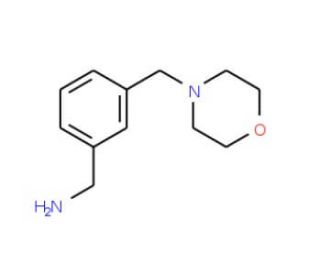 3-Morpholin-4-ylmethyl-benzylamine (CAS 91271-83-9) - chemical structure image