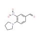 3-nitro-4-(pyrrolidin-1-yl)benzaldehyde (CAS 284679-97-6) - chemical structure image