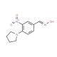 3-nitro-4-pyrrolidin-1-ylbenzaldehyde oxime - chemical structure image
