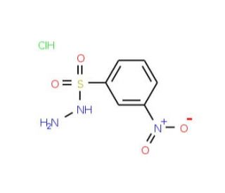3-nitrobenzenesulfonohydrazide hydrochloride (CAS 6655-77-2 (free base)) - chemical structure image