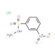 3-nitrobenzenesulfonohydrazide hydrochloride (CAS 6655-77-2 (free base)) - chemical structure image