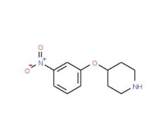 3-Nitrophenyl 4-piperidinyl ether (CAS 586412-89-7) - chemical structure image