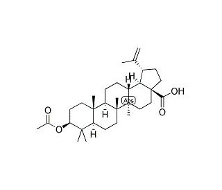 3-O-Acetyl-betulinic acid (CAS 10376-50-8) - chemical structure image