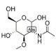 3-O-Methyl-N-acetyl-D-glucosamine (CAS 94825-74-8) - chemical structure image