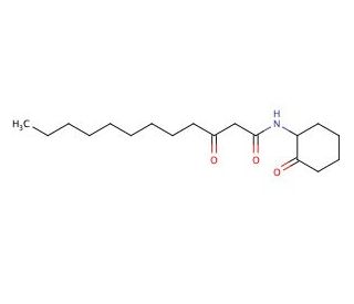 3-Oxo-dodecan-(2-aminocyclohexanone) - chemical structure image