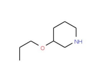 3-propoxypiperidine (CAS 89122-72-5) - chemical structure image
