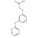 [3-(pyridin-2-yloxy)phenoxy]acetic acid - chemical structure image