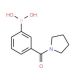 3-(Pyrrolidin-1-ylcarbonyl)benzeneboronic acid (CAS 723281-53-6) - chemical structure image