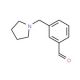 3-(Pyrrolidin-1-ylmethyl)benzaldehyde (CAS 884507-42-0) - chemical structure image