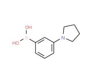 3-(Pyrrolidino)phenylboronic acid (CAS 120347-75-3) - chemical structure image