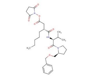 3-(R)-[1-(2-(S)-Benzyloxymethyl-pyrrolidine-1-carbonyl)-2-(S)-methyl-propylcarbamoyl)-octanoic Acid N-Hydroxysuccinimidyl Est