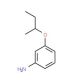 3-(sec-Butoxy)aniline - chemical structure image