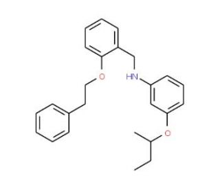 3-(sec-Butoxy)-N-[2-(phenethyloxy)benzyl]aniline - chemical structure image