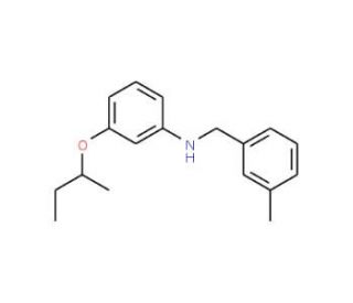 3-(sec-Butoxy)-N-(3-methylbenzyl)aniline - chemical structure image