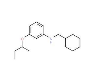 3-(sec-Butoxy)-N-(cyclohexylmethyl)aniline - chemical structure image