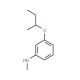 3-(sec-Butoxy)-N-methylaniline - chemical structure image