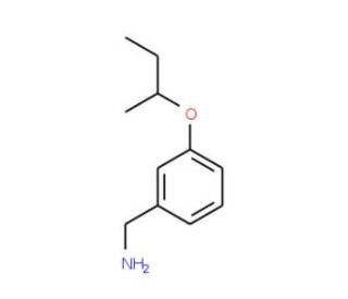 [3-(sec-Butoxy)phenyl]methanamine (CAS 37806-41-0) - chemical structure image