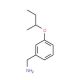 [3-(sec-Butoxy)phenyl]methanamine (CAS 37806-41-0) - chemical structure image