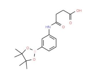 3-Succinamidophenylboronic acid, pinacol ester (CAS 1030269-28-3) - chemical structure image