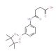 3-Succinamidophenylboronic acid, pinacol ester (CAS 1030269-28-3) - chemical structure image