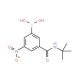 3-(t-Butylaminocarbonyl)-5-nitrophenylboronic acid (CAS 871332-87-5) - chemical structure image