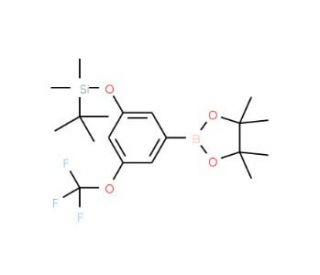 3-(t-Butyldimethysilyloxy)-5-trifluoromethoxyphenylboronic acid, pinacol ester (CAS 1150271-36-5) - chemical structure image