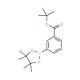 3-(tert-Butoxycarbonyl)phenylboronic acid pinacol ester (CAS 903895-48-7) - chemical structure image