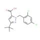 3-tert-Butyl-1-(2,4-dichlorobenzyl)-1H-pyrazole-5-carboxylic acid (CAS 306937-02-0) - chemical structure image