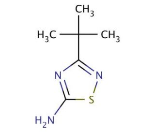 3-(tert-Butyl)-1,2,4-thiadiazol-5-amine - chemical structure image