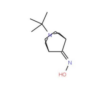 3-tert-butyl-3-azabicyclo[3.2.1]octane-8-hydroxylamine - chemical structure image