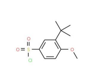 3-tert-Butyl-4-methoxy-benzenesulfonyl chloride (CAS 69129-42-6) - chemical structure image