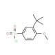 3-tert-Butyl-4-methoxy-benzenesulfonyl chloride (CAS 69129-42-6) - chemical structure image