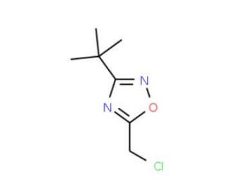 3-tert-butyl-5-(chloromethyl)-1,2,4-oxadiazole (CAS 944901-64-8) - chemical structure image