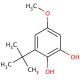 3-tert-Butyl-5-methoxy-catechol (CAS 80284-15-7) - chemical structure image