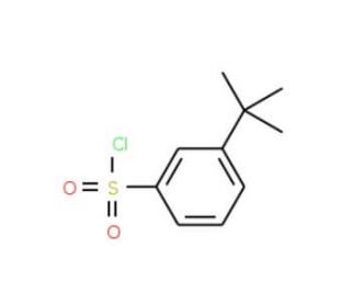3-tert-Butyl benzenesulfonyl chloride (CAS 2905-26-2) - chemical structure image