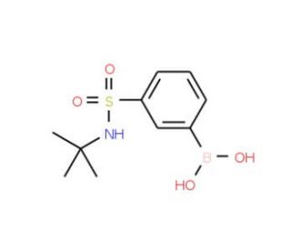 3-(tert-Butylaminosulphonyl)benzeneboronic acid (CAS 221290-14-8) - chemical structure image