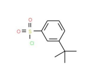 3-tert-Butylbenzenesulfonyl chloride (CAS 2905-26-2) - chemical structure image