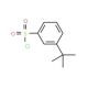 3-tert-Butylbenzenesulfonyl chloride (CAS 2905-26-2) - chemical structure image