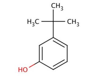 3-tert-Butylphenol (CAS 585-34-2) - chemical structure image