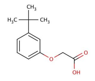 (3-tert-butylphenoxy)acetic acid - chemical structure image