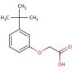 (3-tert-butylphenoxy)acetic acid - chemical structure image