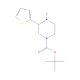 3-(Thien-2-yl)piperazine, N1-BOC protected (CAS 886771-38-6) - chemical structure image