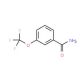 3-(Trifluoromethoxy)benzamide (CAS 658-91-3) - chemical structure image
