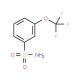 3-(Trifluoromethoxy)benzenesulfonamide (CAS 503179-70-2) - chemical structure image