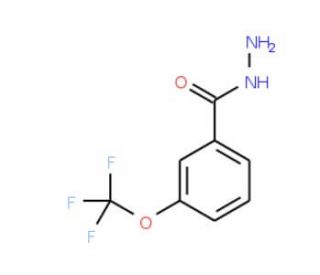 3-(Trifluoromethoxy)benzhydrazide (CAS 321195-88-4) - chemical structure image